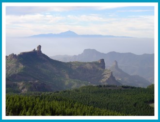 antetanni_biwyfi_oben