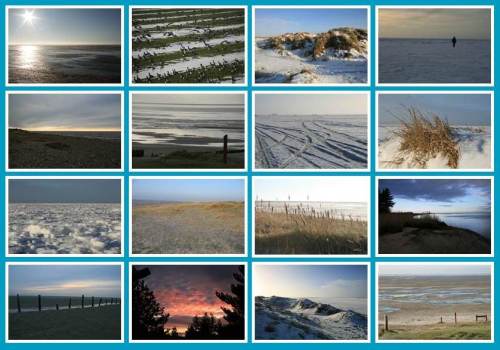 antetanni_fotografiert_biwyfi_#94_januar-collage