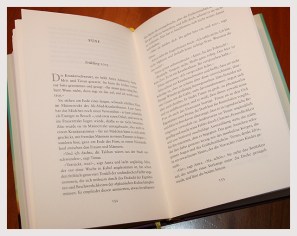 Buch_Traumsammler_antetanni_liest (2)
