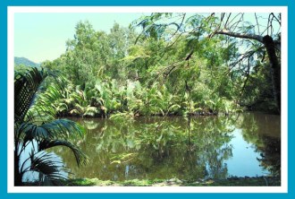 31_gruene-oase_52-pics_antetanni (1)