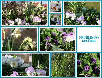 antetanni-fotografiert_biwyfi-fruehlingsgefuehle_#101