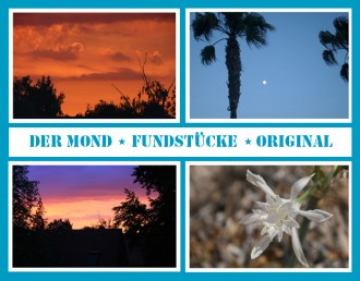 antetanni-fotografiert_52-pics-of-the-year_Fundstücke