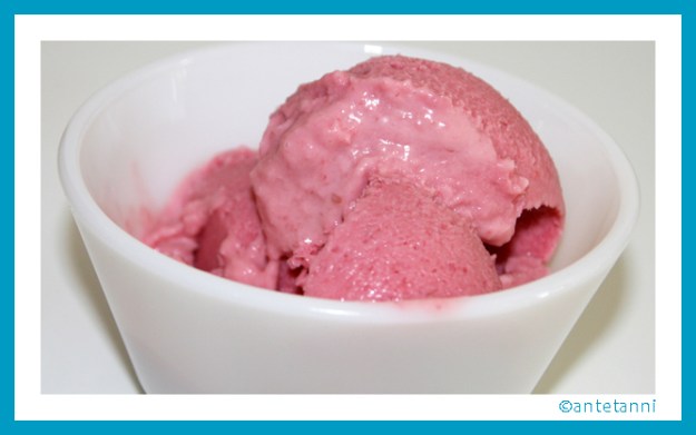 antetanni-kocht_Eis-Himbeereis_Himbeer