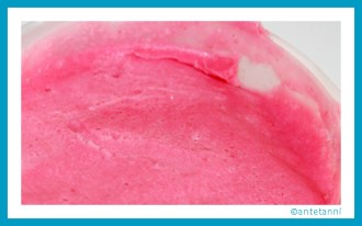 antetanni-kocht_Eis-Rote-Johannisbeeren-Traeuble