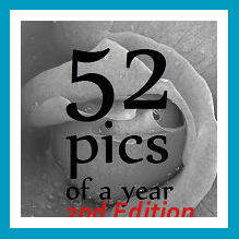 antetanni-fotografiert_button_fotoprojekt2