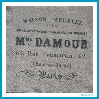 antetanni-naeht_Kissen_Gewebe-grob_Damour (1)