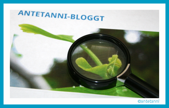 antetanni-sagt-was_Im-Netz-entdeckt