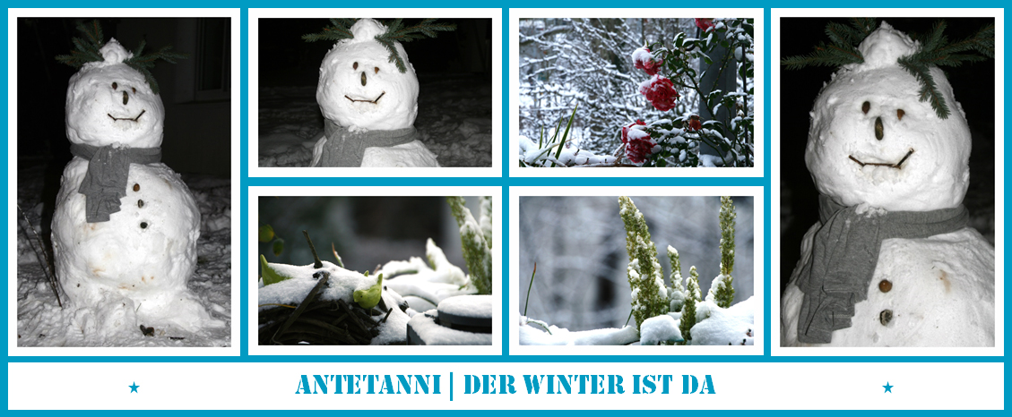 antetanni-fotografiert_Der-Winter-ist-da_Dezember-2014