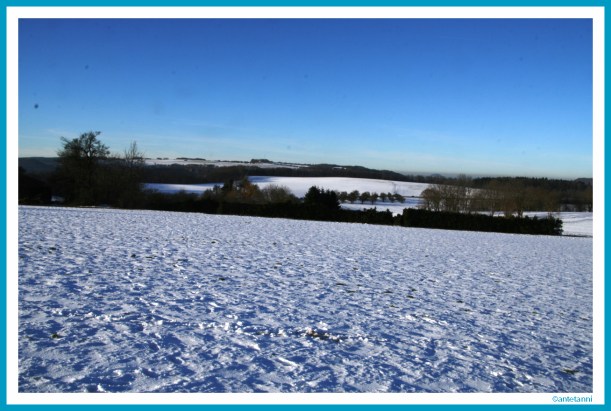 antetanni-fotografiert_winterspaziergang_2015-01 (2)