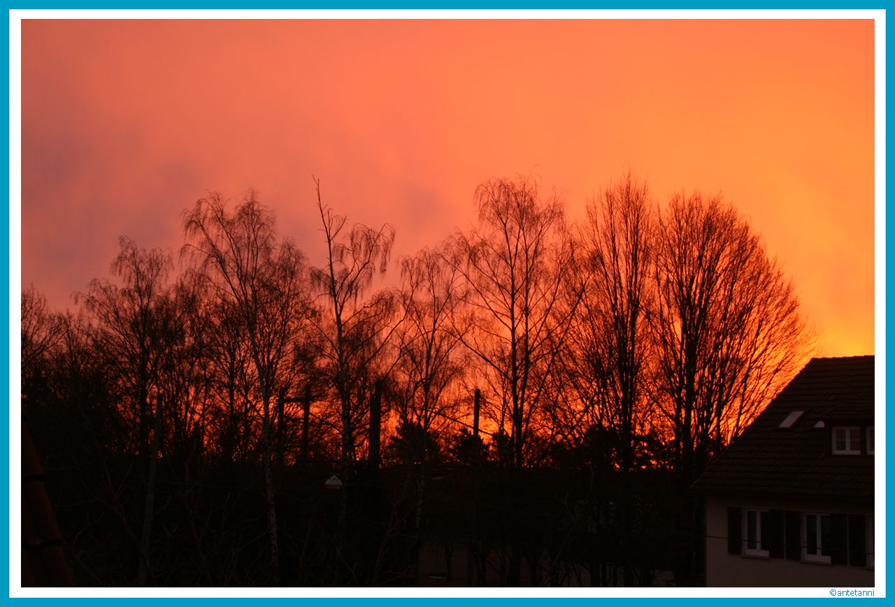 antetanni-fotografiert_Himmel-glutrot
