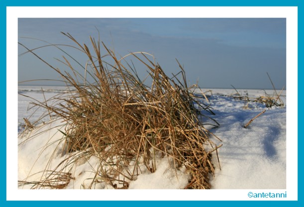 antetanni-fotografiert_Schneespaziergang (1)