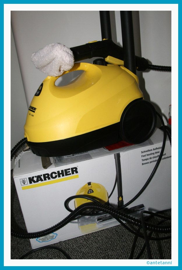 antetanni-sagt-was_Hausfreund_Dampfreiniger