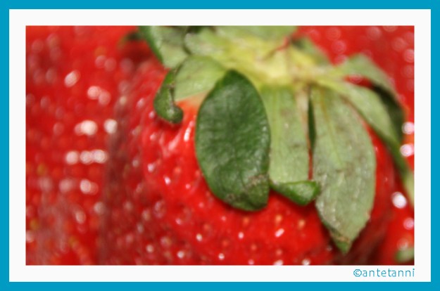 antetanni-kocht_Das-erste-Erdbeereis-Erdbeer-Eis-des-Jahres (1)