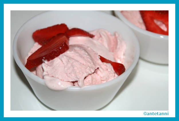 antetanni-kocht_Erdbeereis