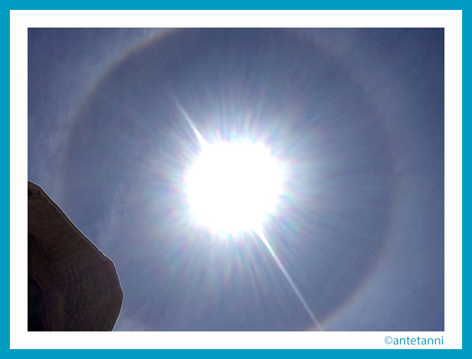 antetanni-fotografiert_Halo_Colonia-Sant-Jordi_2015-05