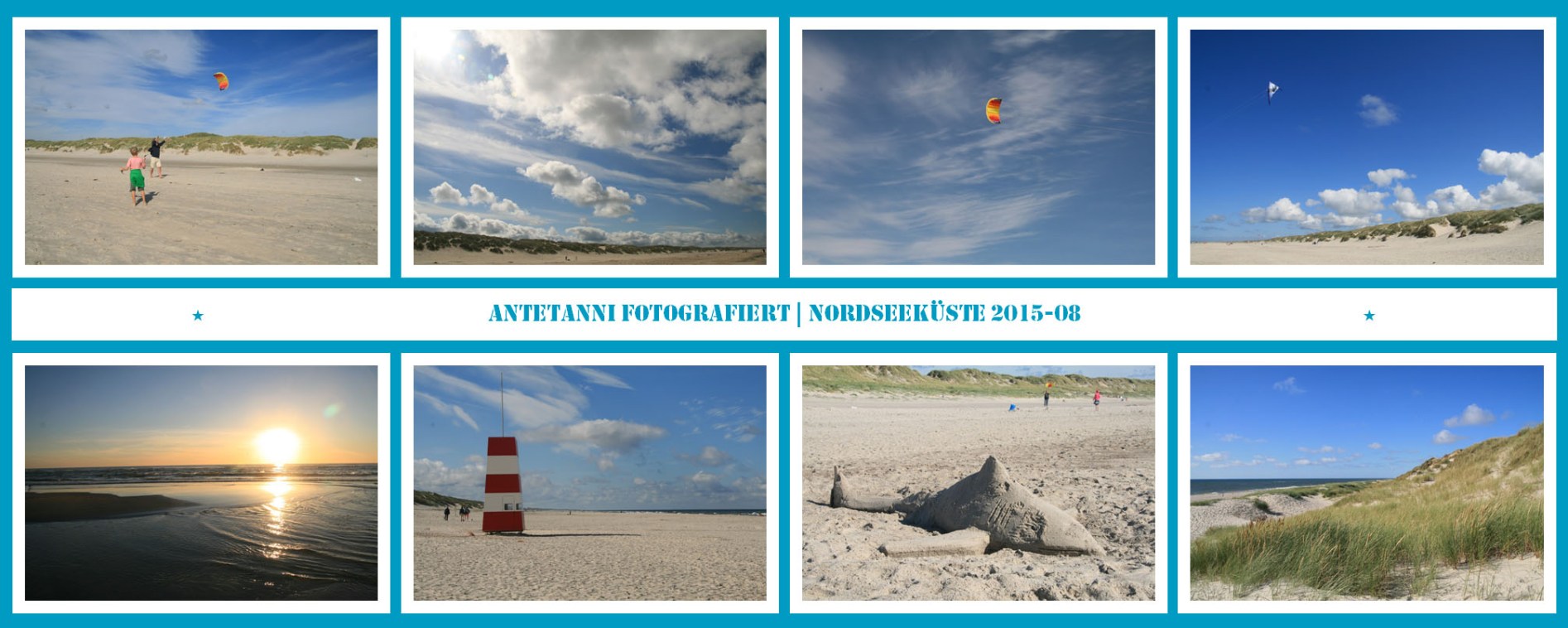 antetanni-fotografiert_Daenemark-2015-2