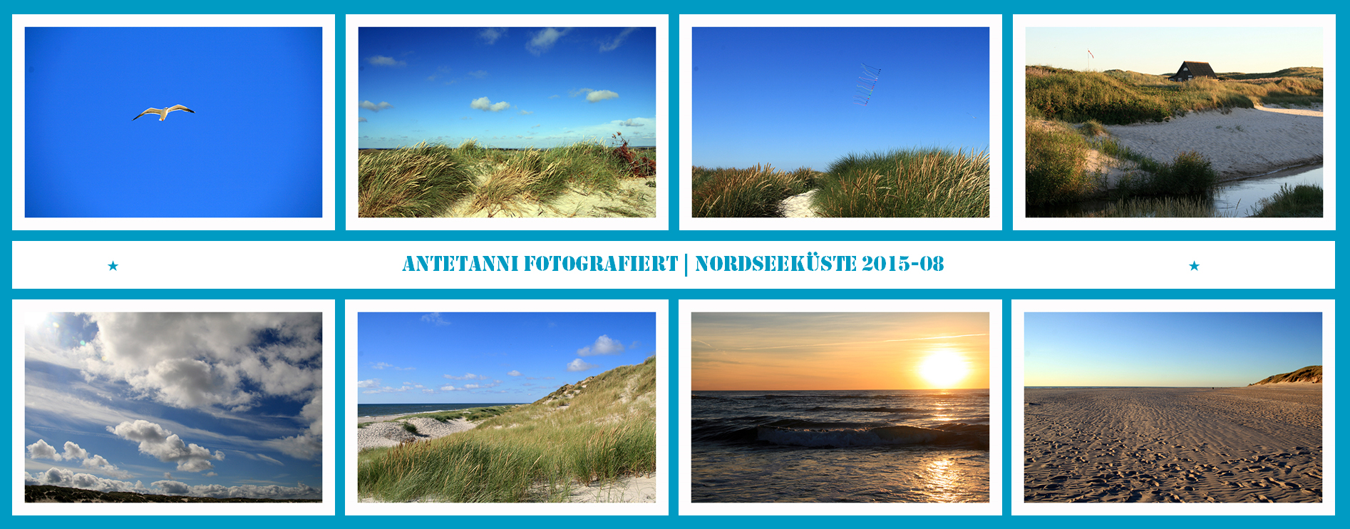 antetanni-fotografiert_Daenemark-2015