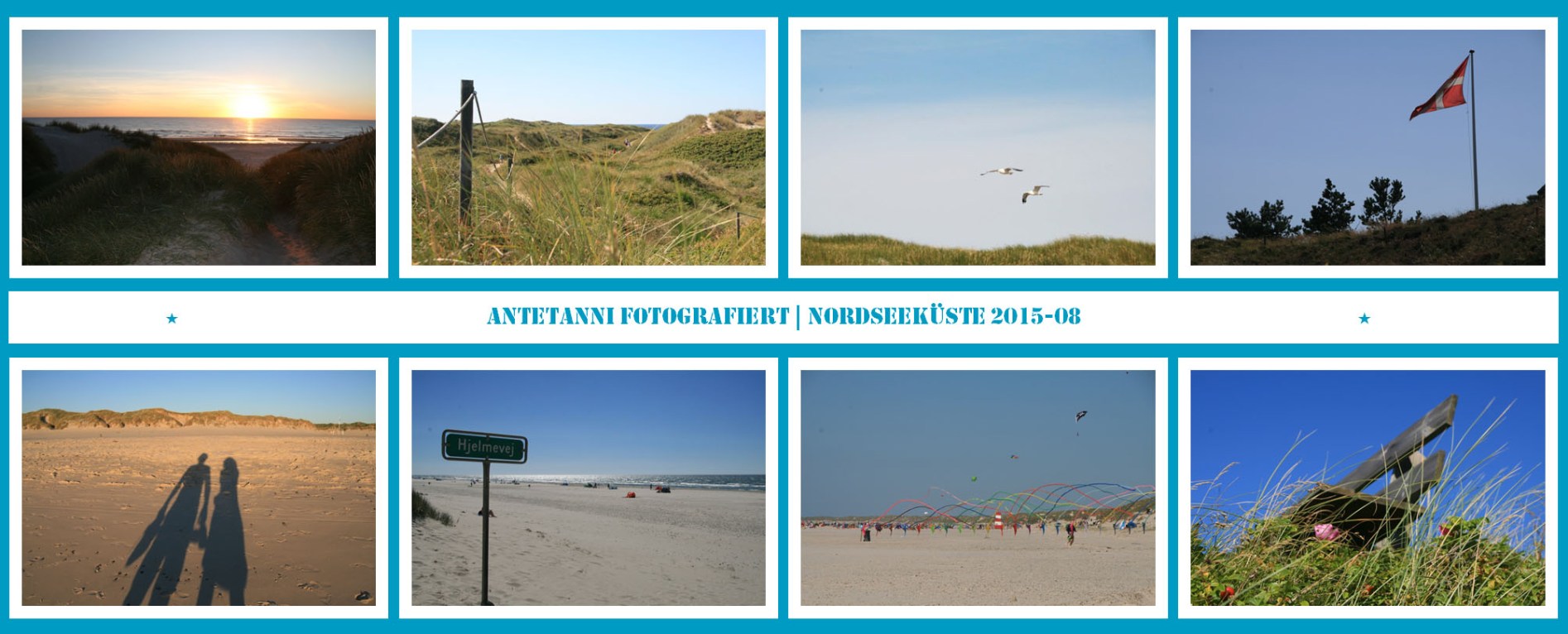 antetanni-fotografiert_Daenemark-2015_3