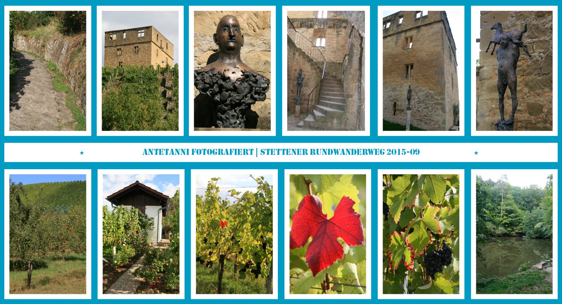 antetanni-fotografiert_Stettener-Rundwanderweg_2015-09_1