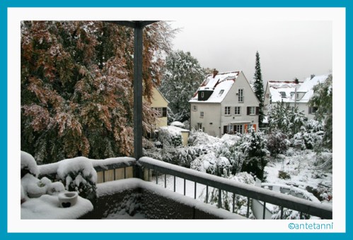 antetanni-fotografiert_Buche-mit-Schnee_2012-10