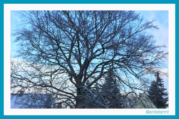 151122_Der-erste-Schnee-in-diesem-Herbst (13)