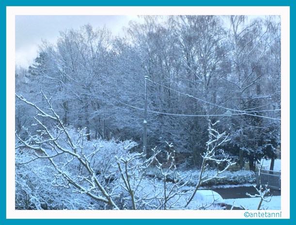 antetanni-fotografiert_Der-erste-Schnee-in-diesem-Herbst_151122