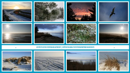 antetanni-fotografiert_Daenemark-im-Winter