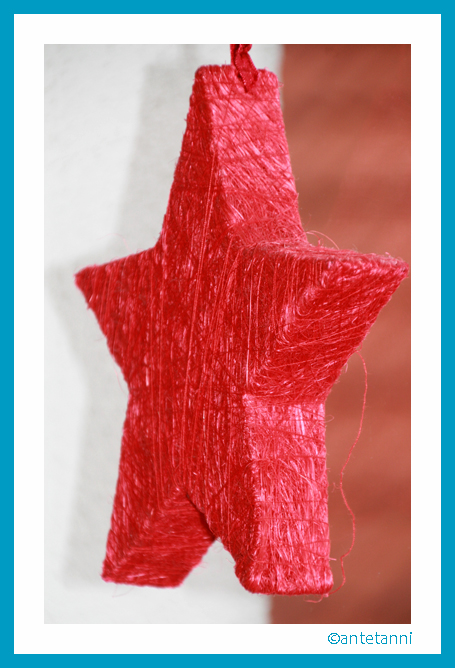 antetanni-freut-sich_Stern-Rot-Weihnachtsdekoration
