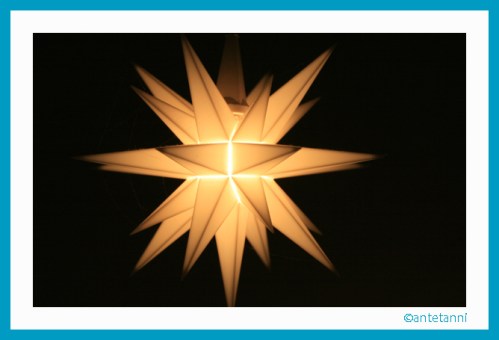 antetanni_Weihnachten_Herrenhuther-Stern