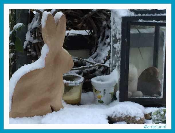 antetanni-fotografiert_Schneehase_160115