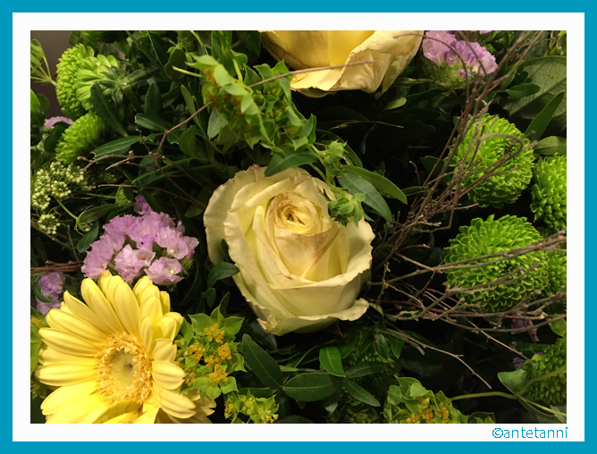 antetanni-fotografiert_Blumenstrauss_2016-02_2