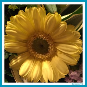 antetanni-fotografiert_Blumenstrauss_2016-02_3