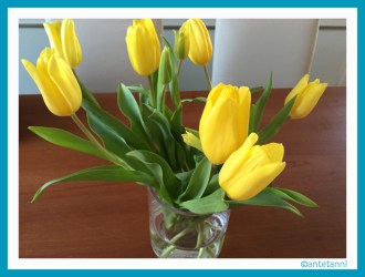 antetanni-fotografiert_Tulpen-gelb_2016-01