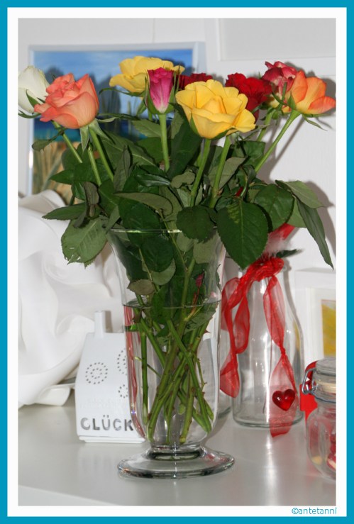 antetanni-fotografiert_Rosen_2016-03 (09)