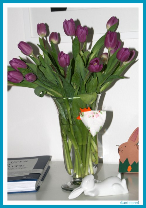 antetanni-fotografiert_Tulpen-lila_160326 (6)