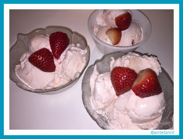 antetanni-kocht_Erdbeereis_Season-opening-2016 (2)
