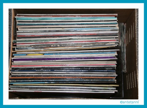 06_antetanni-sagt-was_Eins-aus-296_Schallplatten (2)