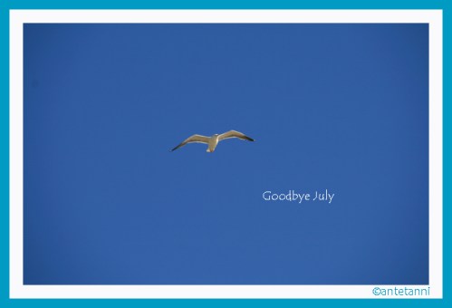 antetanni_Moewe_Goodbye-July