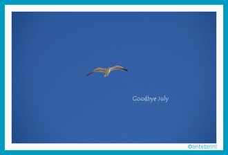 antetanni_Moewe_Goodbye-July