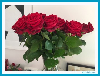 antetanni_Rosen_Rosenstrauss_160714