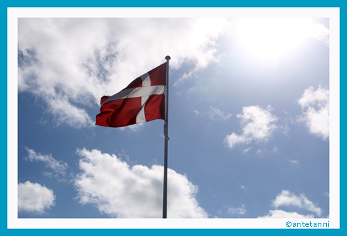 antetanni-fotografiert_Daenemark_2016-08 (2)