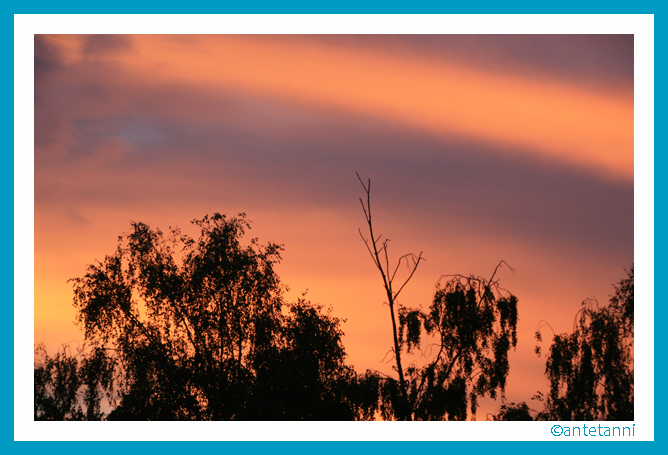 antetanni-fotografiert_morgenrot_160916