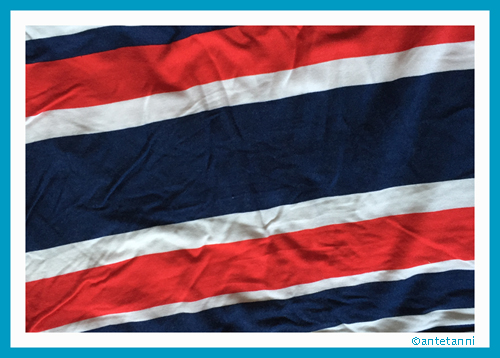 antetanni_schrottstoff_jersey-streifen_blau-rot-weiss