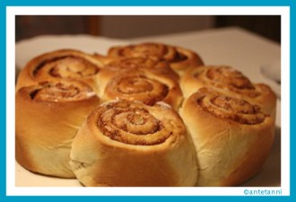 antetanni-fotografiert_hefebuchtel-feigenmus-baecker-juergen_2016-12