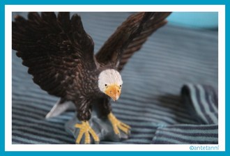 antetanni-naeht_babyshirt_shirt_80_2017-02-3