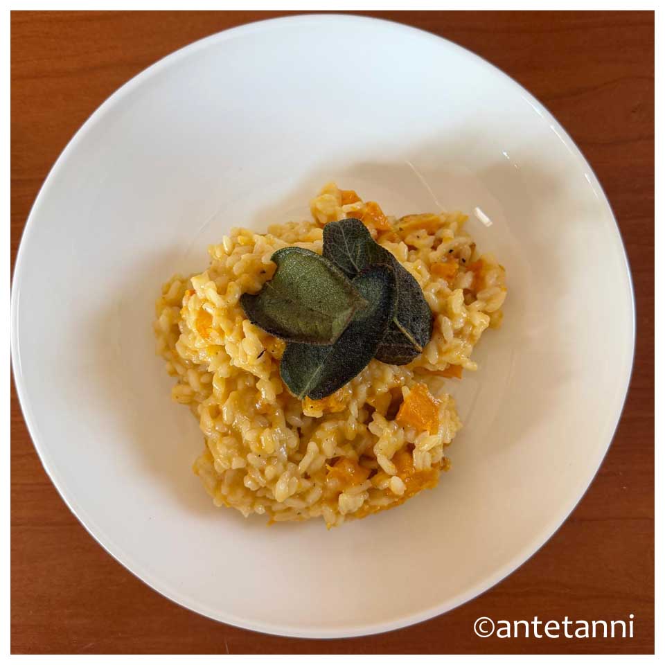 Draufsicht auf weißen Teller mit Butternut-Risotto und knusprigem Salbei-Topping